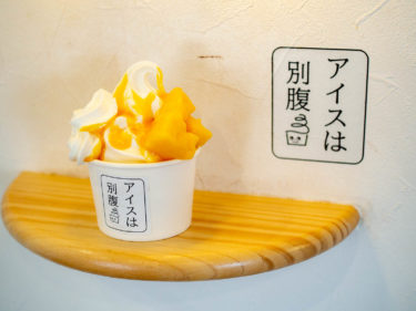 【グルメ】飲んだ後に食べたいフォトジェニックなパフェ 松本市「アイスは別腹」